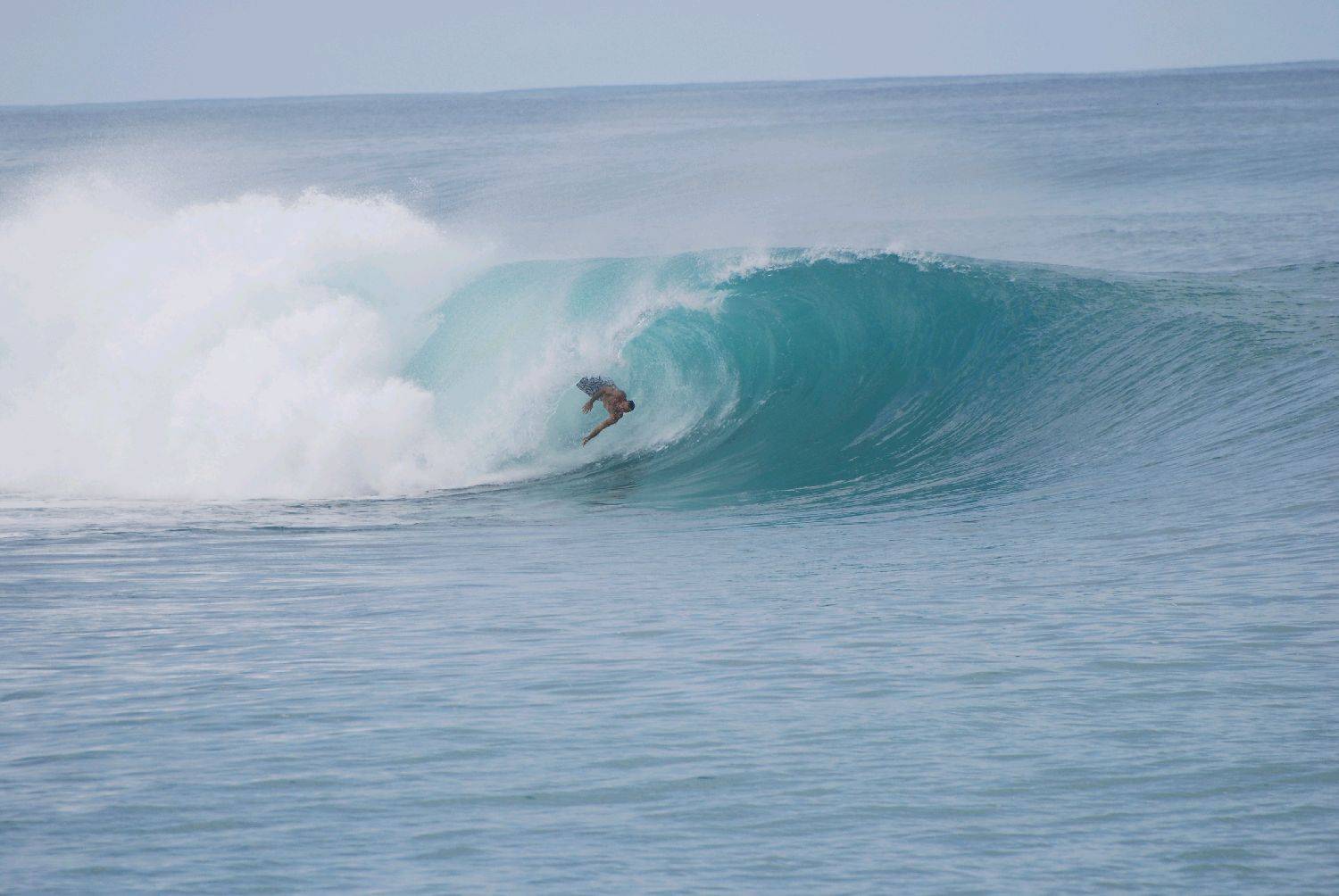 Reef Diving Indo Style