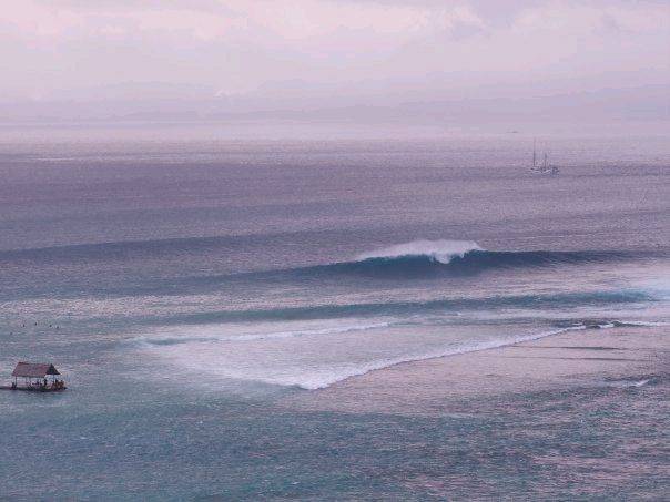 7322 154403187052 602307052 3529428 8152434 n[1]