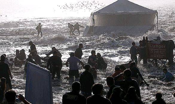 Mavericks spectators
