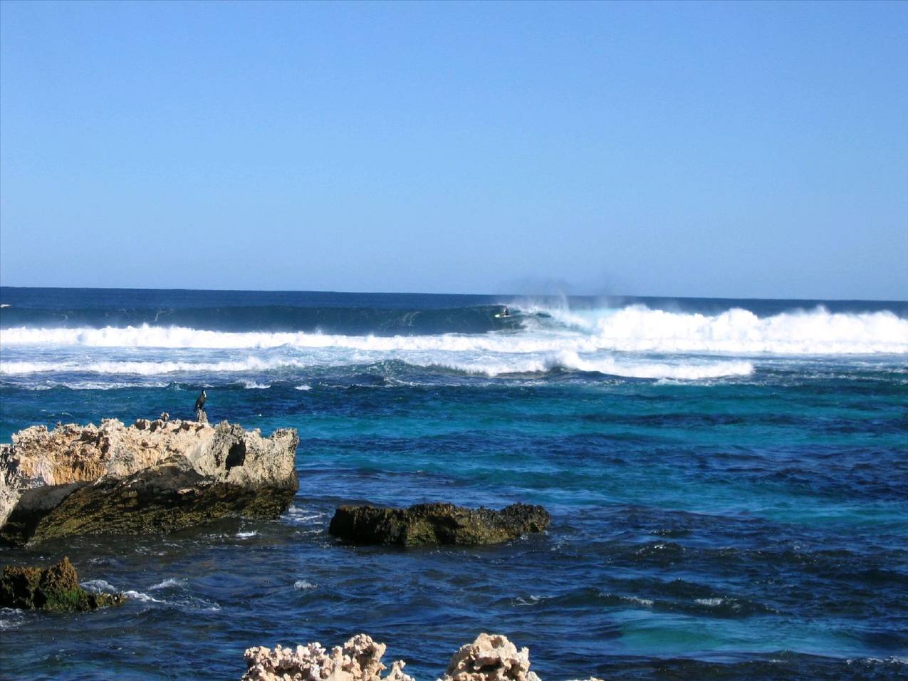 Glad you are not here!