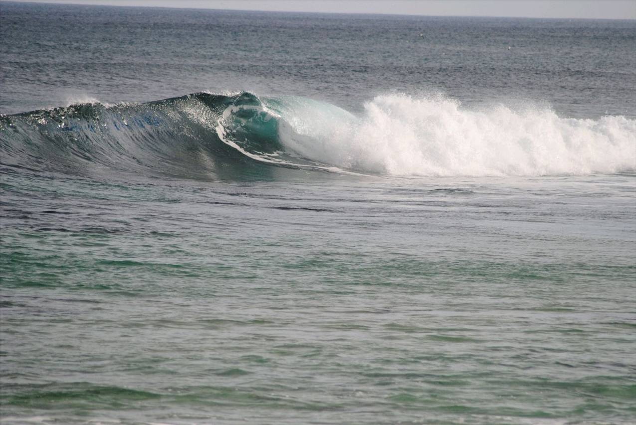 summer like .....but.... todays pics 21/05/10