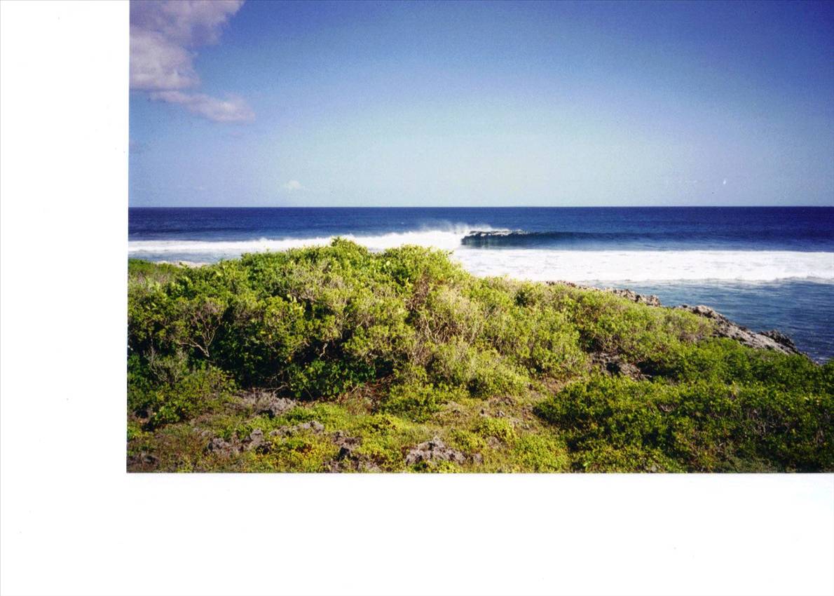 20-02-2011 1;03;35 PM