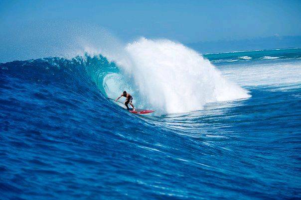 16469 202454579251 51023414251 3951807 4903603 n