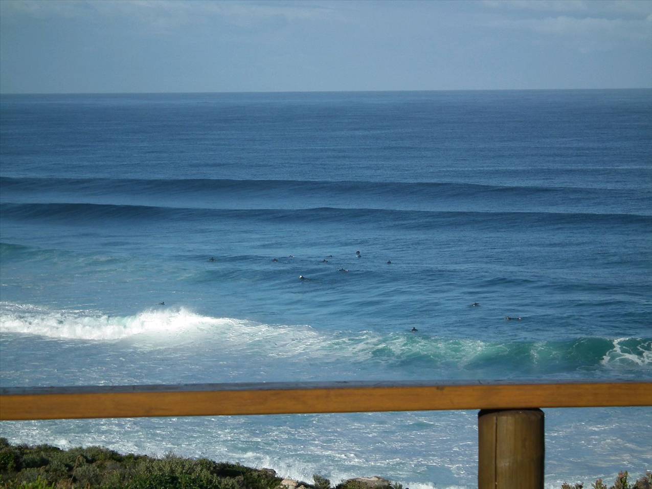 Another great lineup