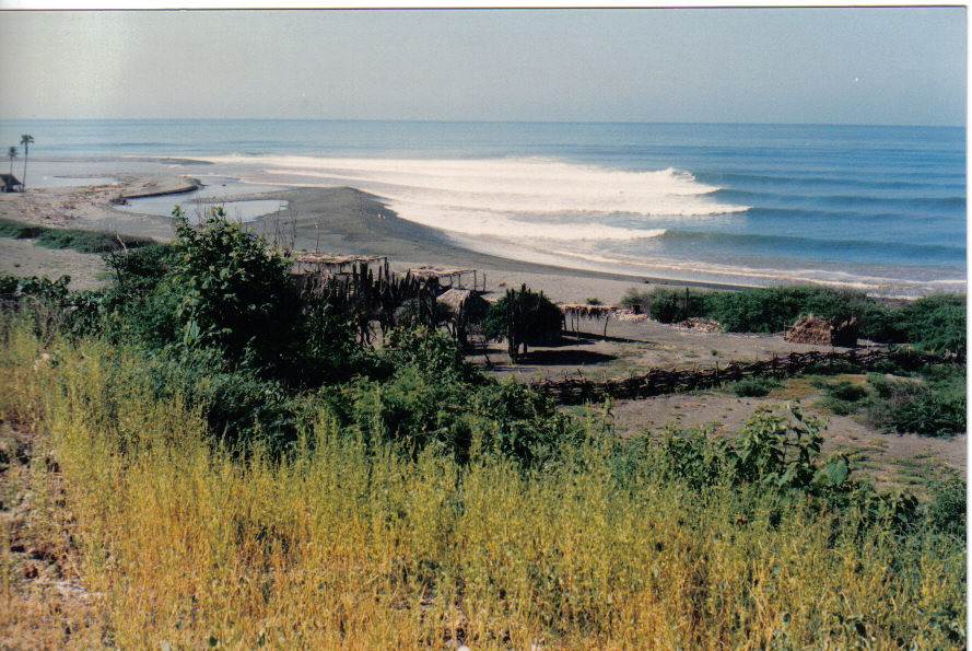 ASF Rio Nexpa Mexico