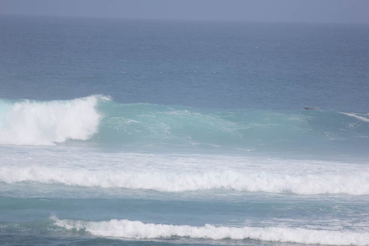 gloo 2011 various 002