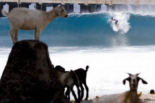 taylor india1-545x363