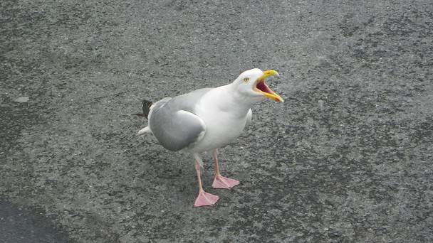 H6yMi6fUB 1JR964xxG8RxsYArlNNn1lR5PWutchKM43vwZOGig1kDFTEbGWefFQ1pgh4vDtYYhA