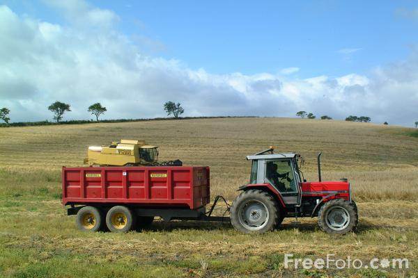 Tractor-and-trailer web