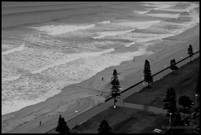 manly this morning1