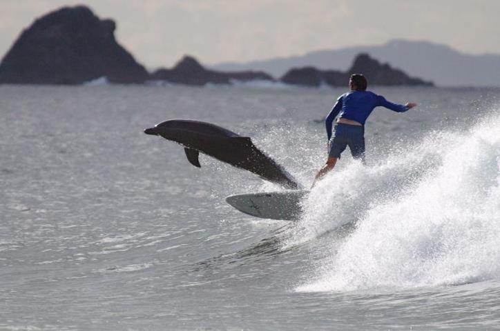 305283 10150359251740909 11071120908 8139279 858616769 n