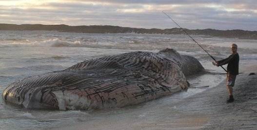 165294 1681479513463 3585655 n