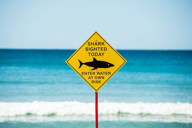 mfsprout 20120924 39