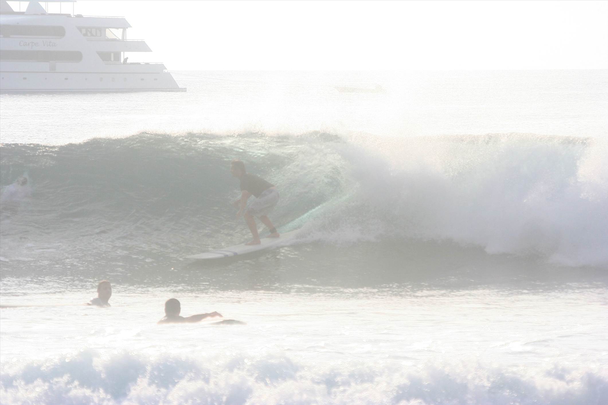 Carpe Vita 13th October 2012 279