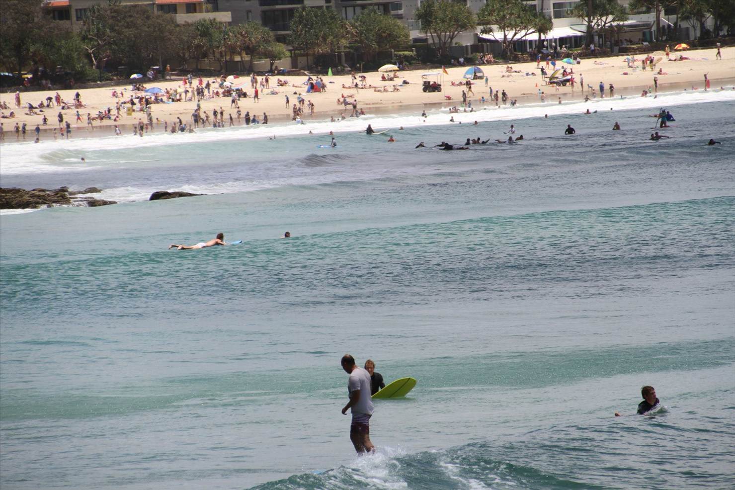 278180 4906155250020 1268988016 o