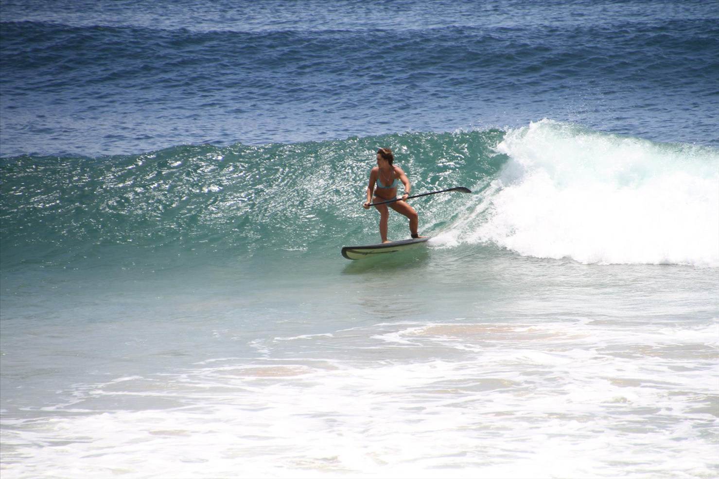 shak1460594 4905690878411 1042655435 o