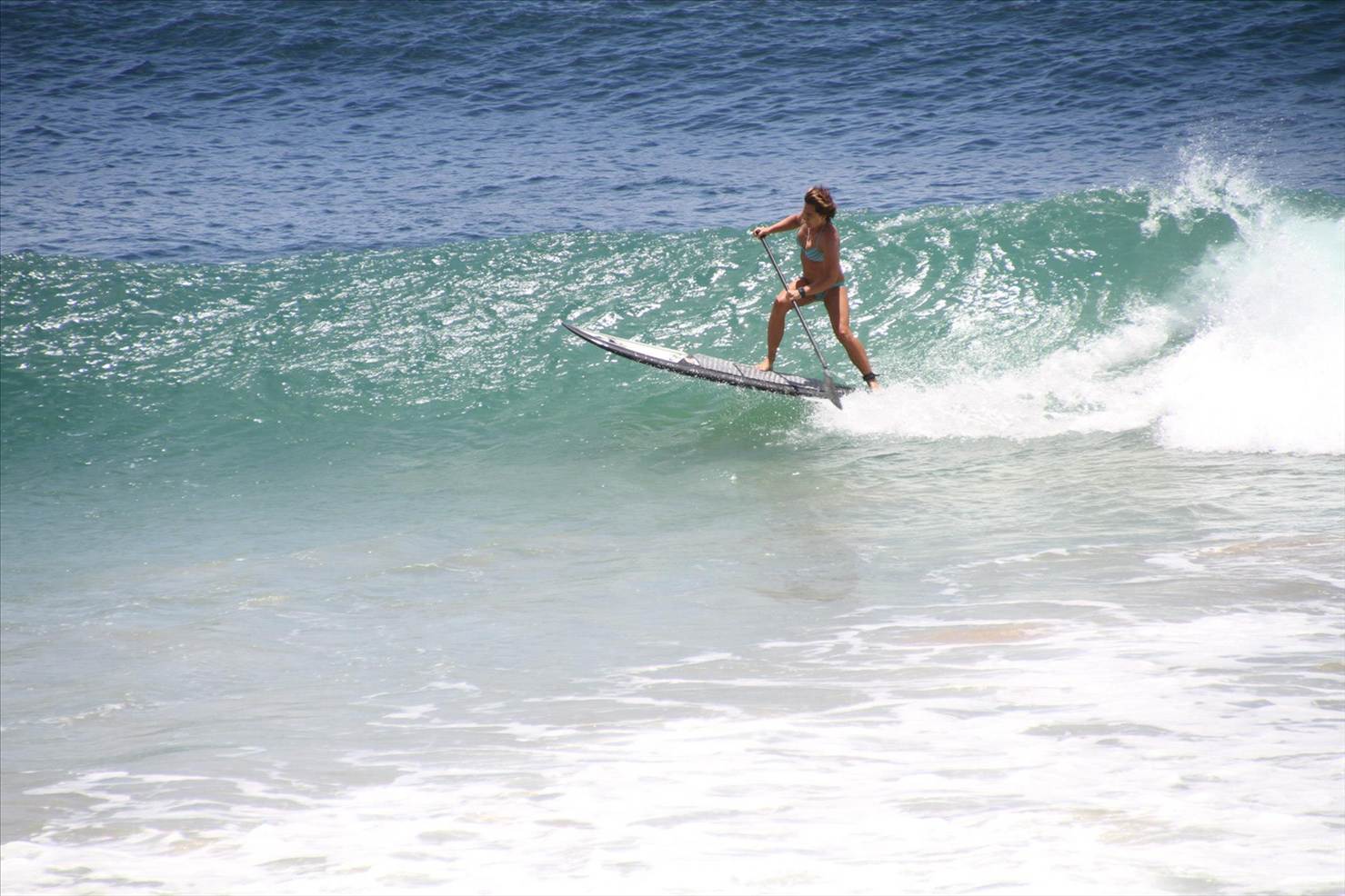 shak2288374 4905691838435 851423657 o