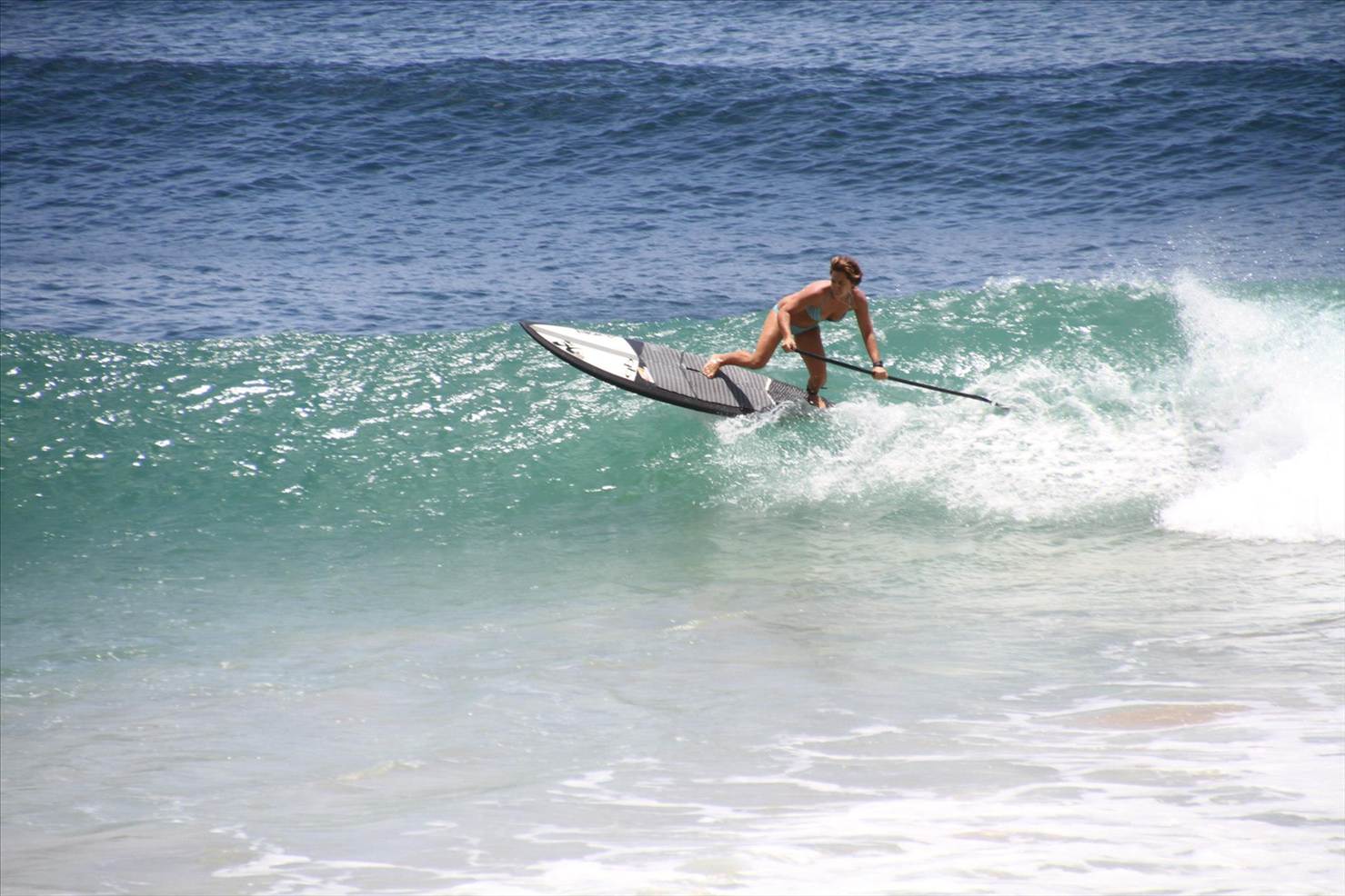 shak3410796 4905691958438 115095222 o