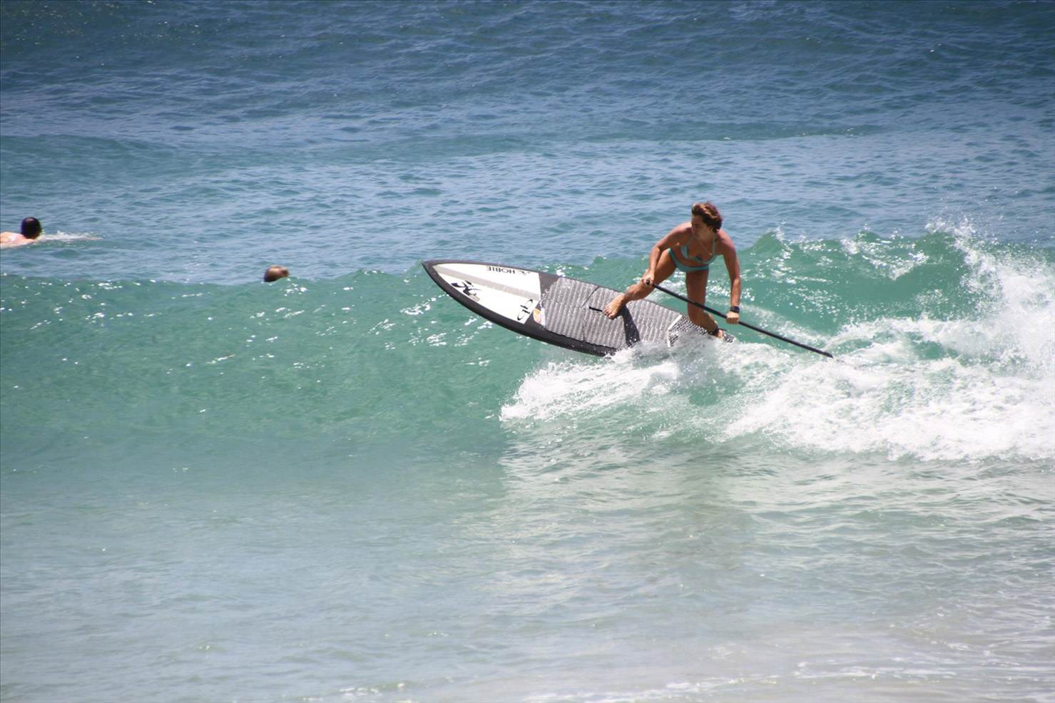 shak5413049 4905692838460 1347938300 o