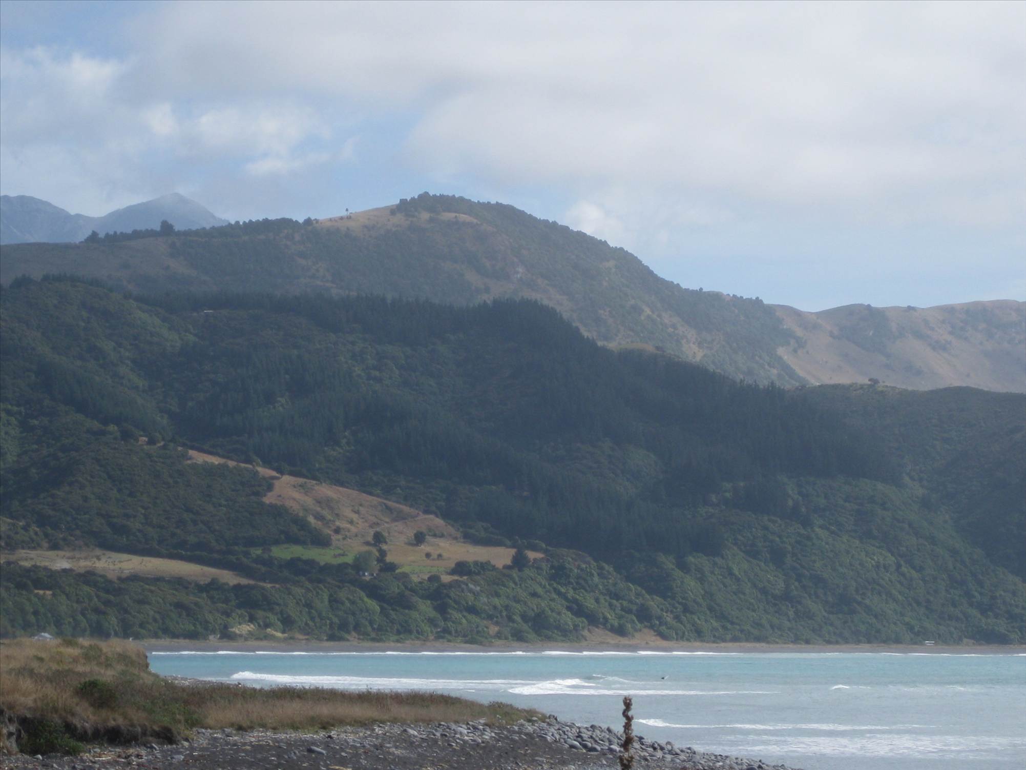 cc kaikoura