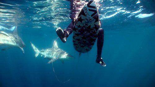 546242 186678378139528 1997099537 n