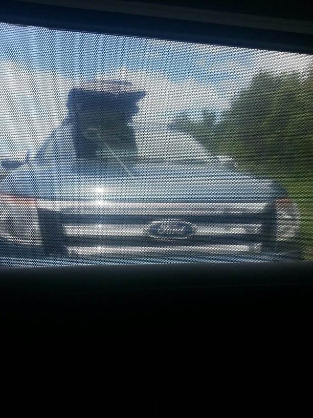 483199 4994440417094 255121336 n