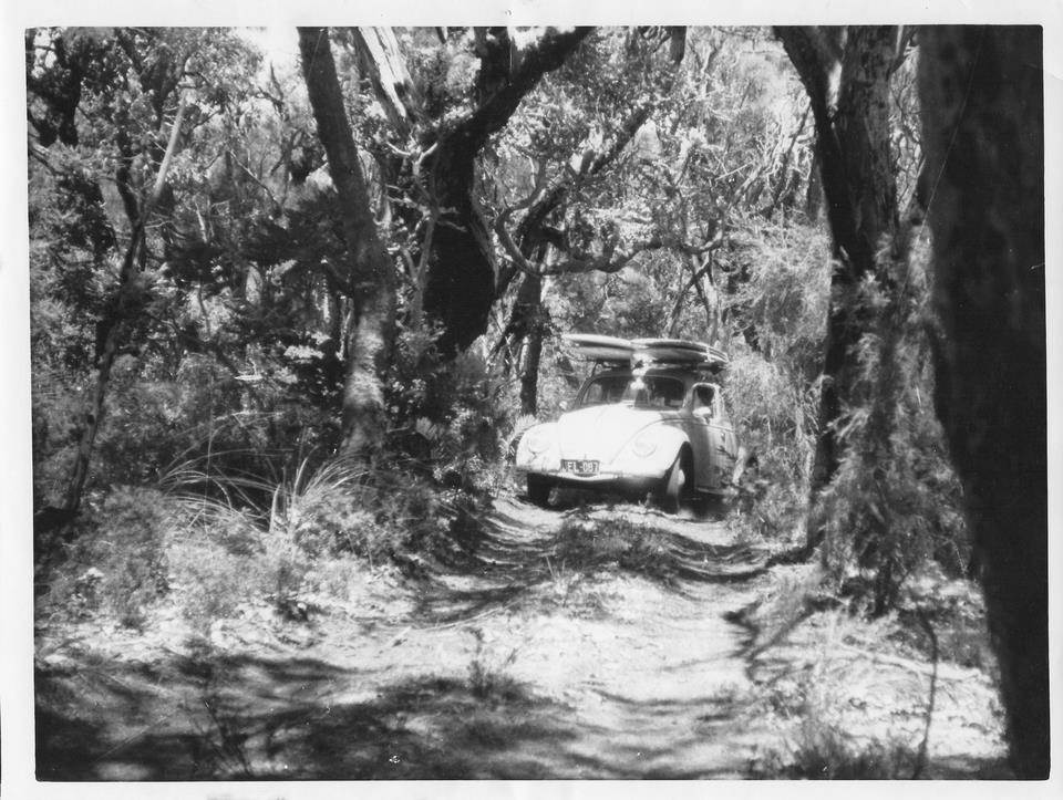 295306 513152552058528 254536338 n