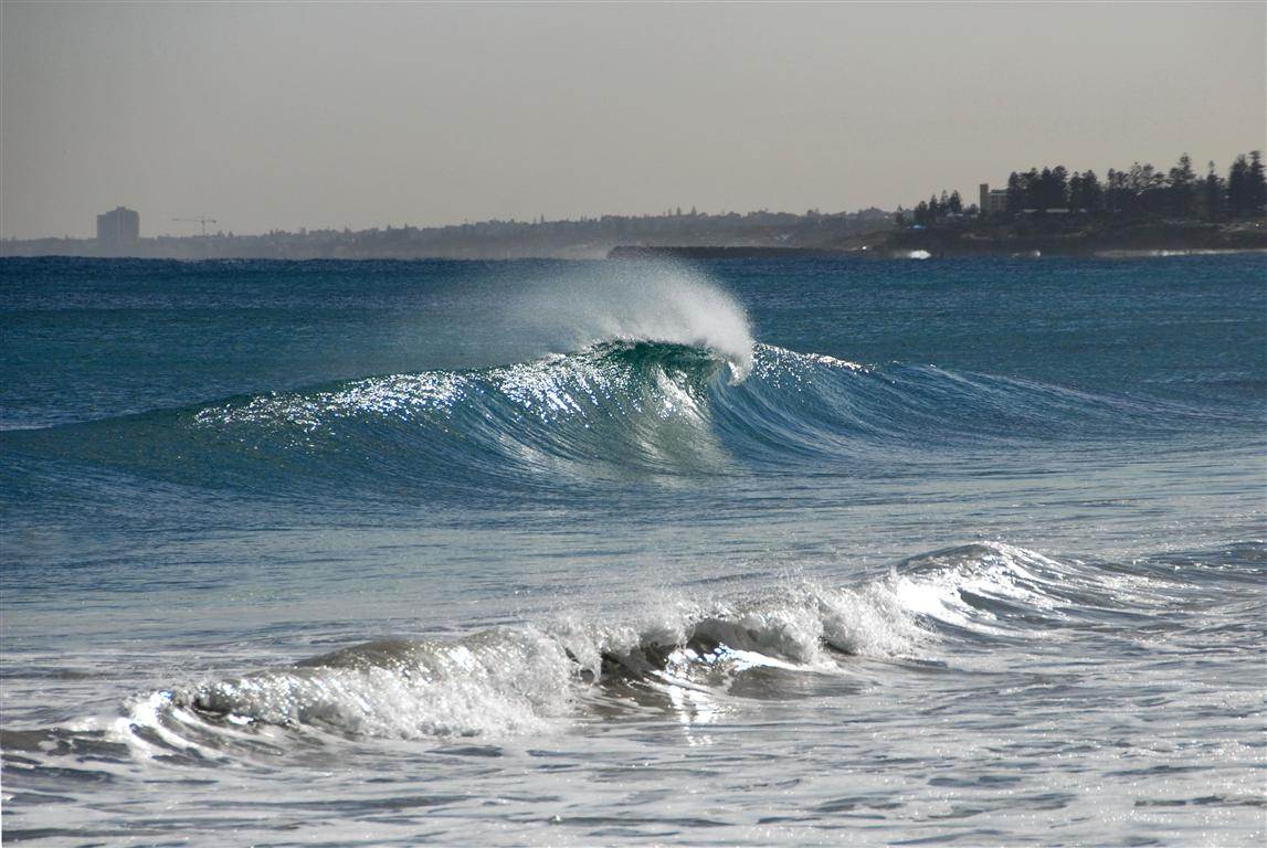 MAY  1408 005 CROP (Medium)