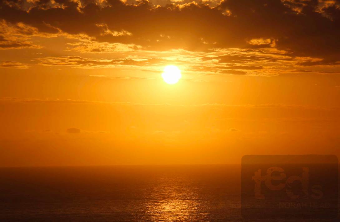 Screen Shot 2013-05-01 at 4.50.01 PM