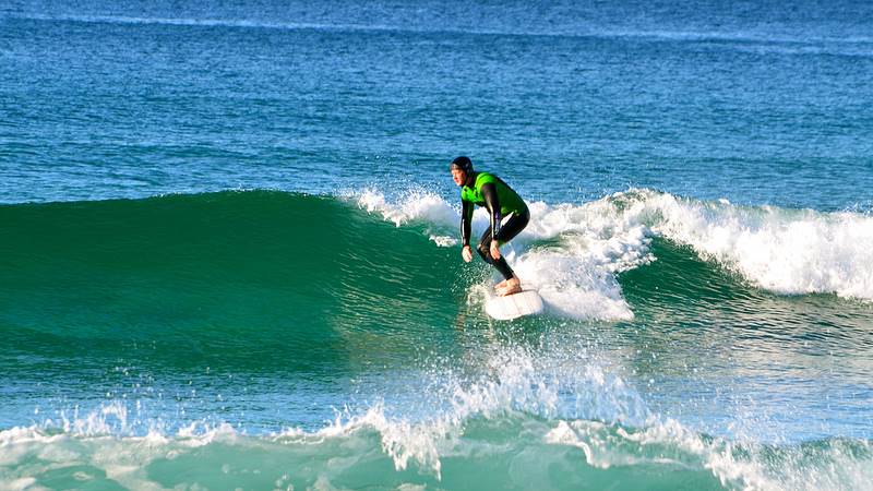 8740139818 7636829079 c