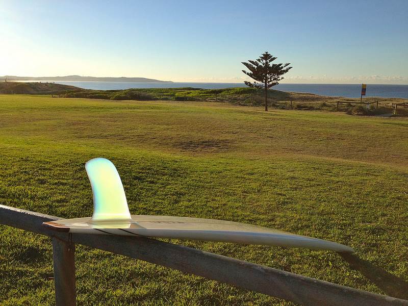 8739001113 b2bda339a9 c