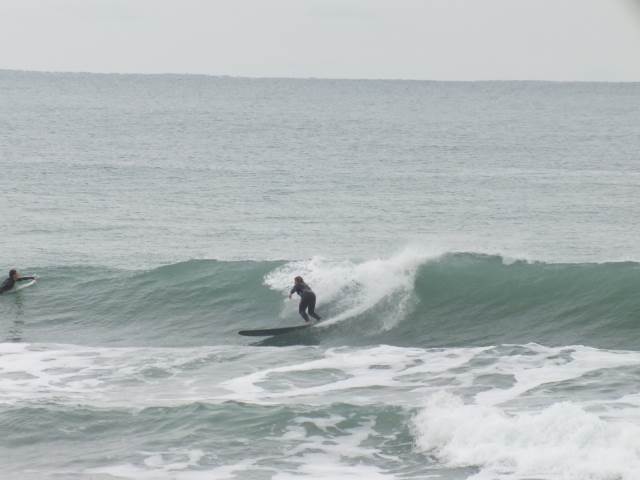 arboretum 167 (640x480)