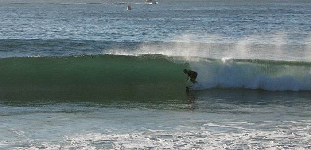 8835864400 0901b30379 z