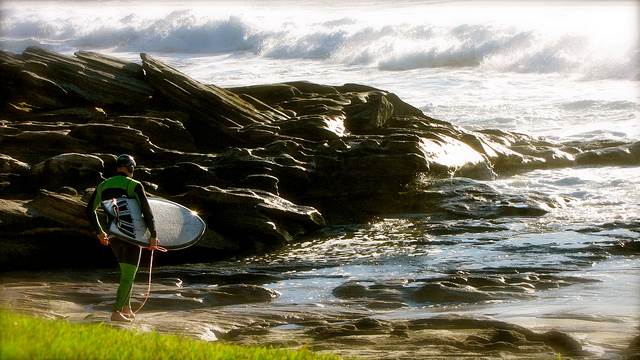 8835890314 ab4001b161 z