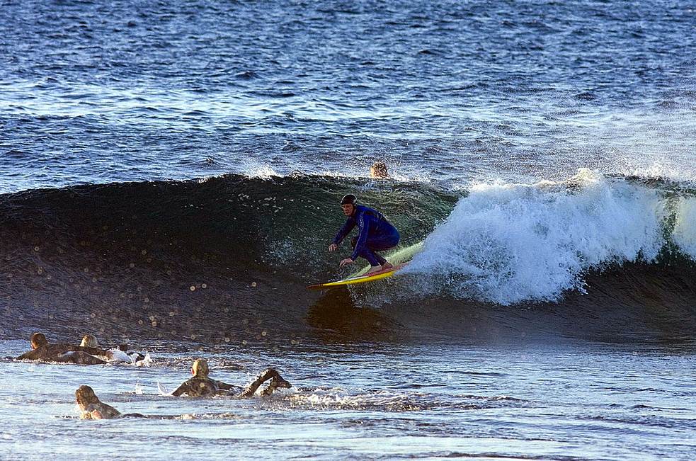 5545773685 d070e24c86 b