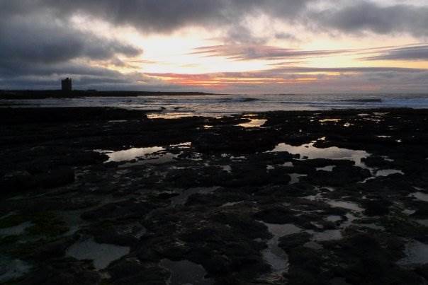 13940 188682646509 8081289 n