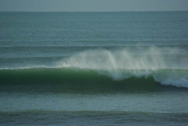 13940 188672321509 996033 n