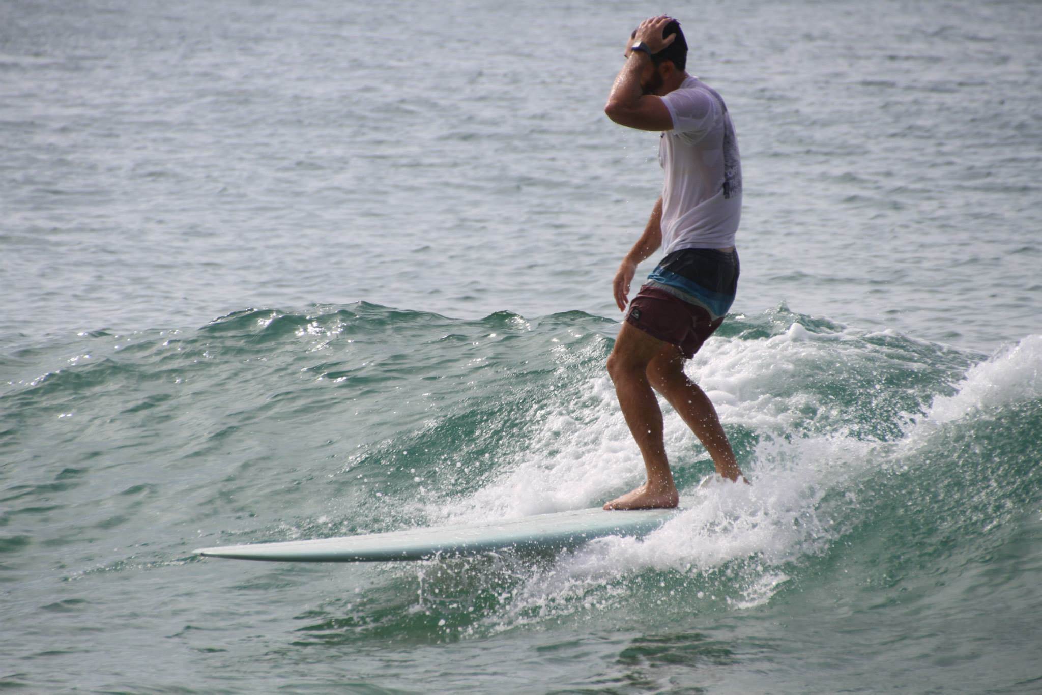 1658563 10202820711337153 1614641956 o