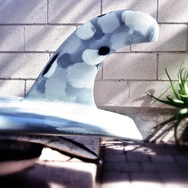 1904029 705889389443388 128715464 n