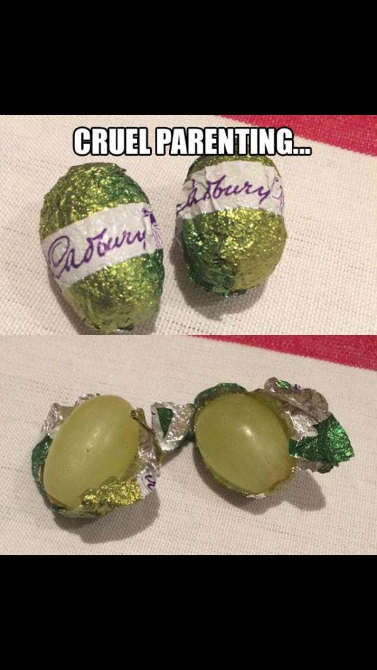 1926885 10152337897935071 864418003777238106 n