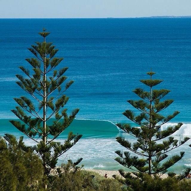 Another day of Perfection