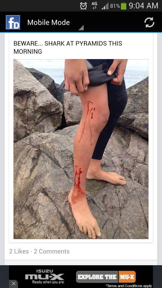 10348204 10152886984952497 7075581743151804796 n