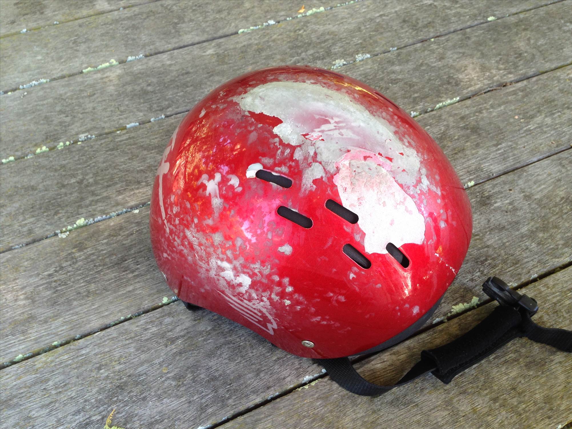 Daffney - garden 001