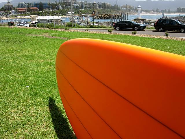 16146011017 c457ef8390 z