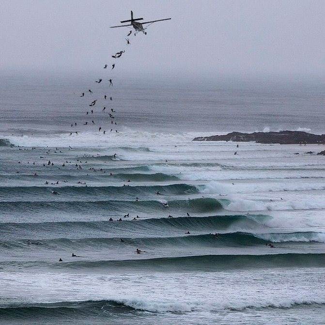 11013037 744464715661479 7899755093774408361 n