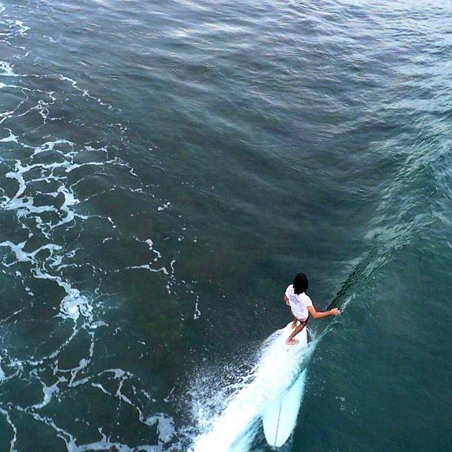 11022547 787738521280549 522966395016618786 n