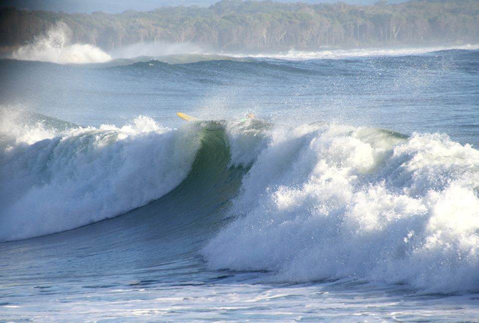 11036079 10206320460068684 5612933224783914403 n