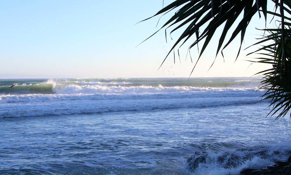 11174941 10206320413347516 1640993823804947585 n