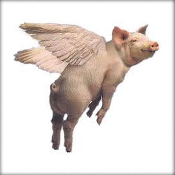 WhenPigsFlyIcon001