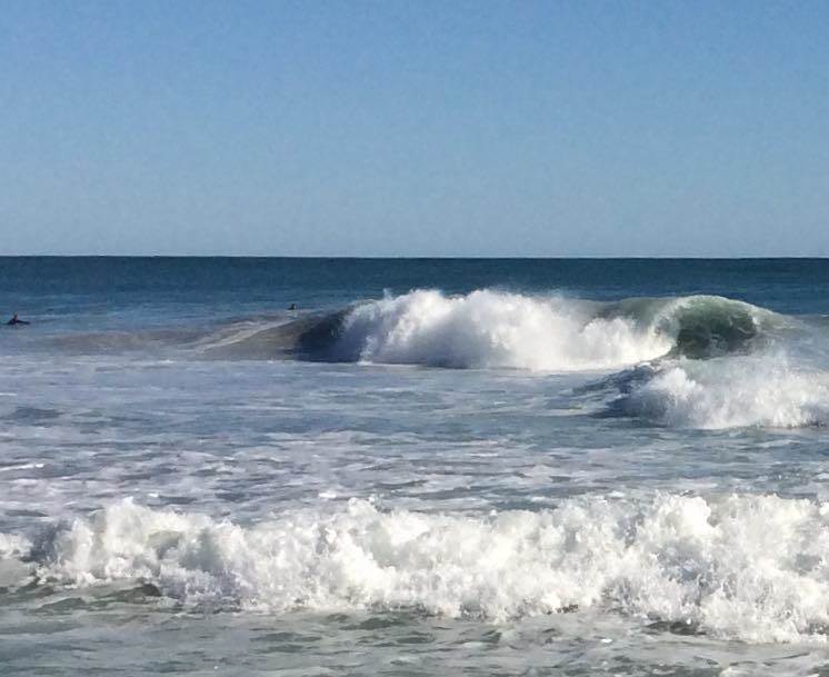 11696756 10207208560512734 1502706658 n